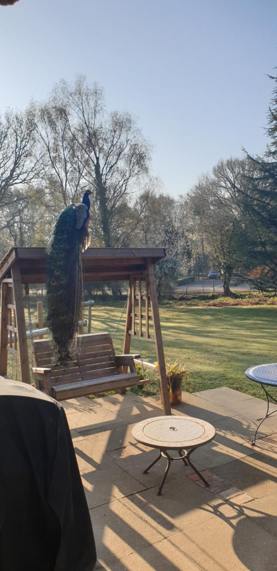 Sika Hut Villa Wareham Kültér fotó