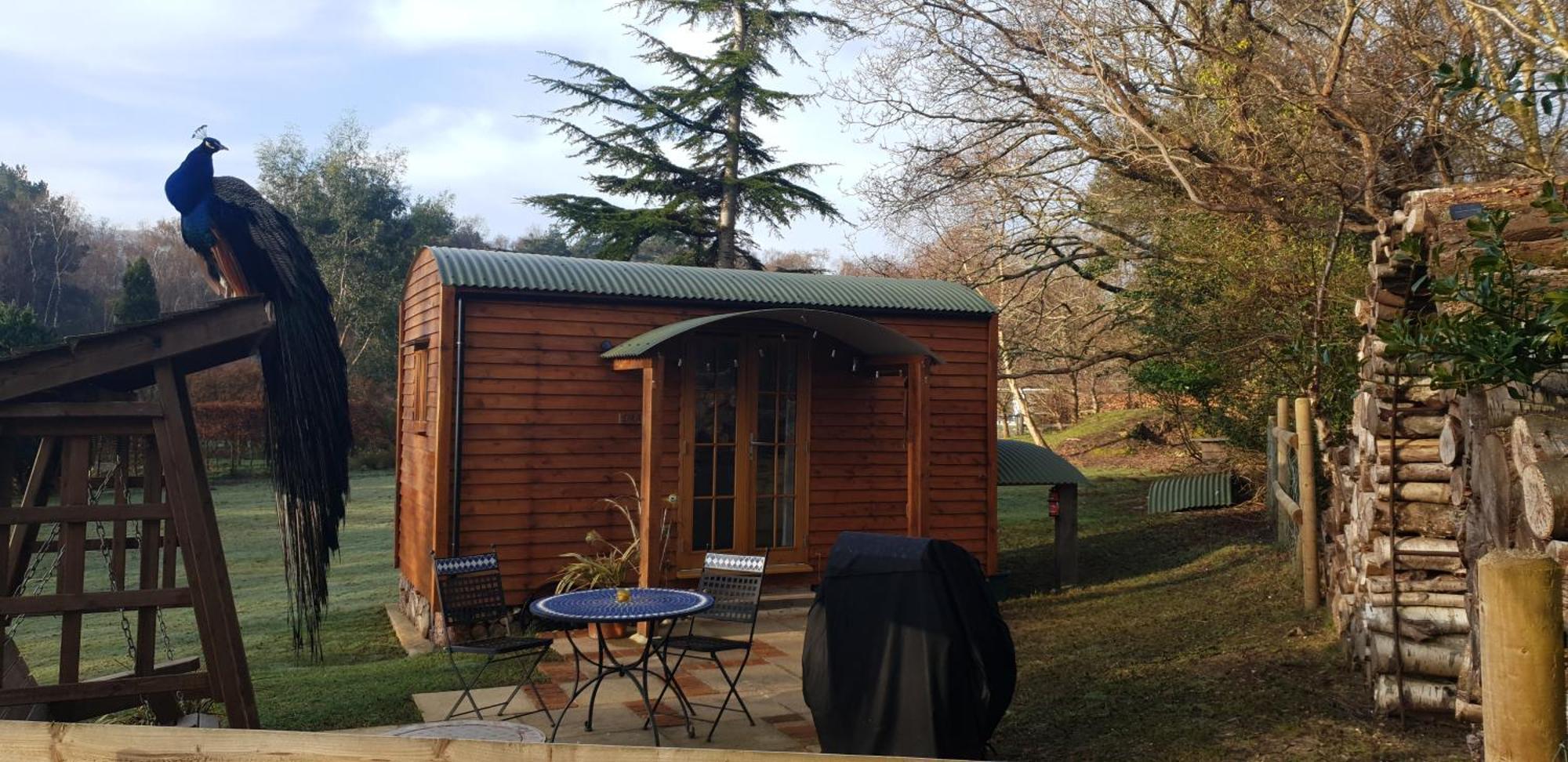 Sika Hut Villa Wareham Kültér fotó